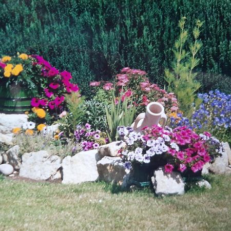 Gite Chez Lucie Guntzviller Ngoại thất bức ảnh